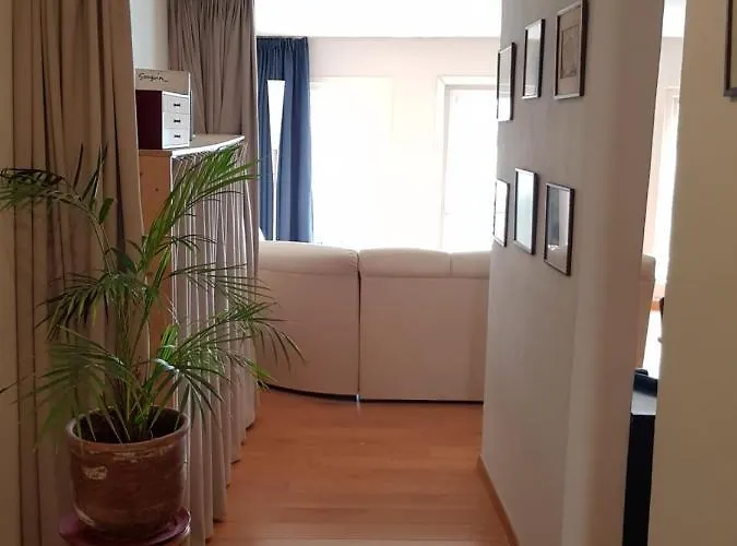 Exclusive דירה *