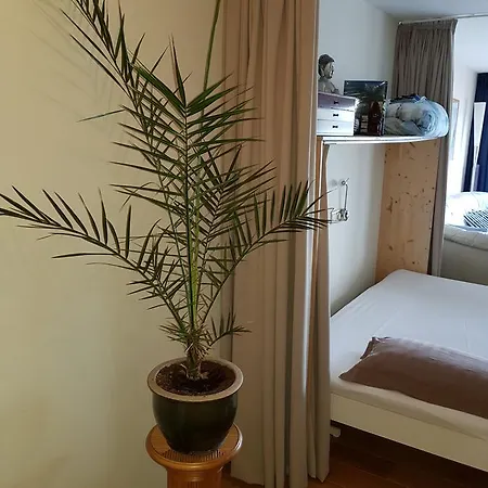 Exclusive Apartment